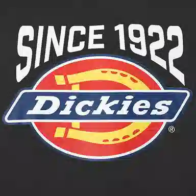 DickiesT