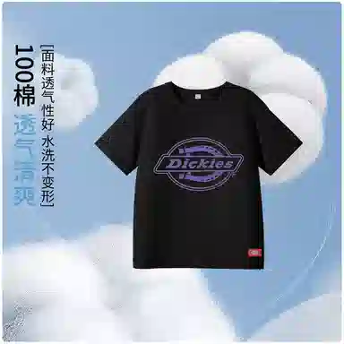 DickiesT