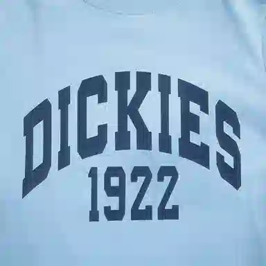 DickiesT