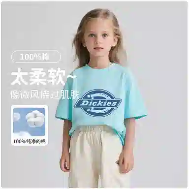 DickiesT