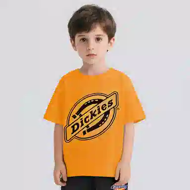 DickiesT