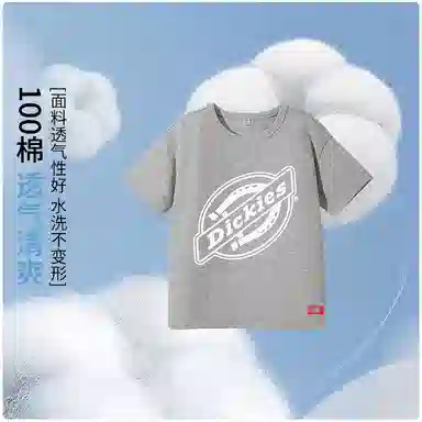 DickiesT