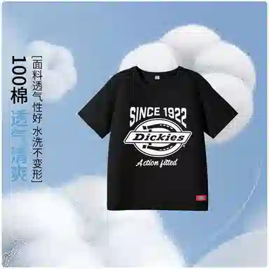 DickiesT
