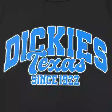 DickiesT