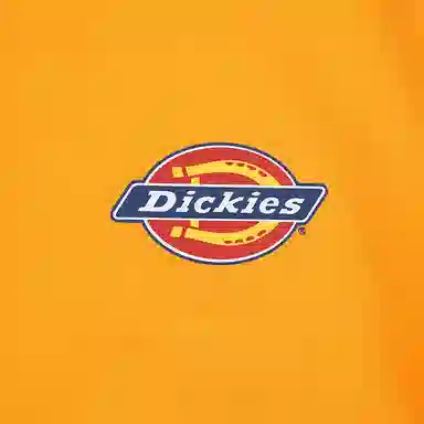 DickiesT
