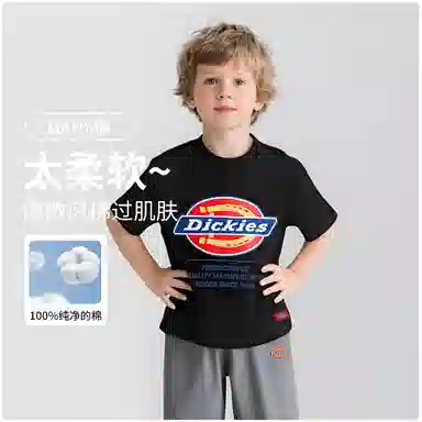 DickiesT