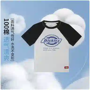 DickiesT