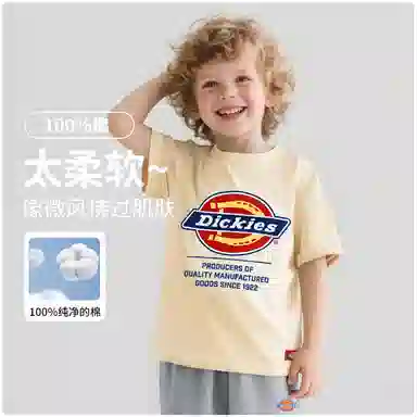 DickiesT