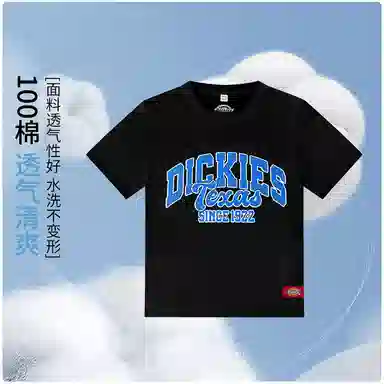 DickiesT