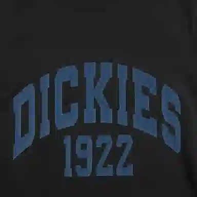 DickiesT