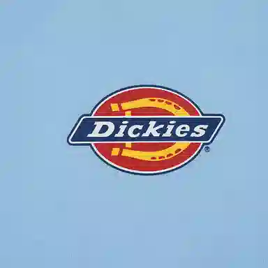 DickiesT