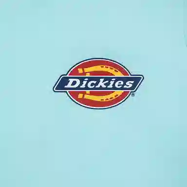DickiesT