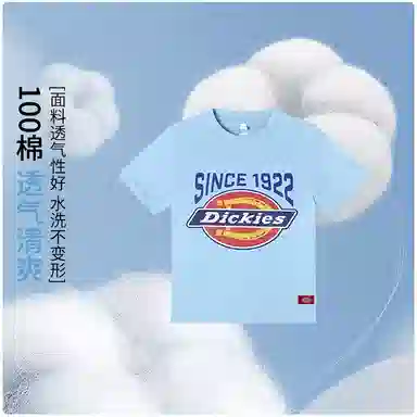 DickiesT