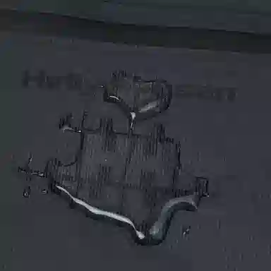 HELLY HANSEN Gorpcore