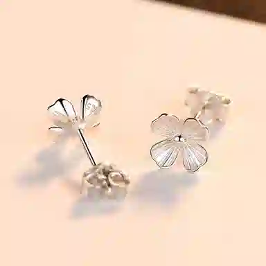 zoo jewel S925