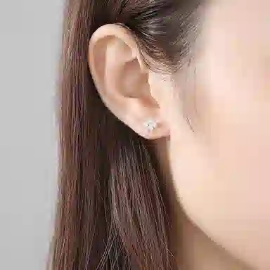 zoo jewel S925