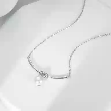 zoo jewel S925