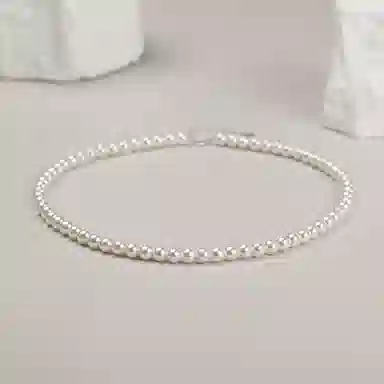 zoo jewel S925