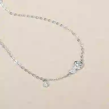 zoo jewel S925