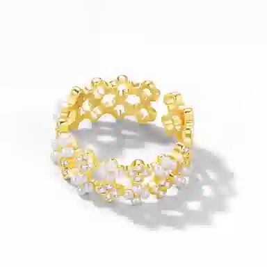 zoo jewel