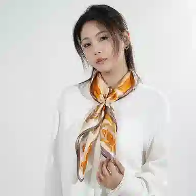 桑尚 丝绸档案馆 桑蚕丝 丝巾 男女同款情侣款