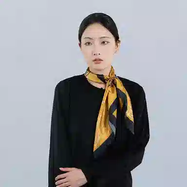 桑尚 苏州中国档案馆联名 桑蚕丝 丝巾 女款