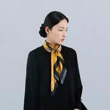 桑尚 苏州中国档案馆联名 桑蚕丝 丝巾 女款