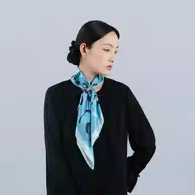 桑尚 苏州中国档案馆联名 桑蚕丝 丝巾 女款