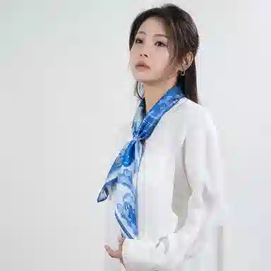 桑尚 丝绸档案馆 桑蚕丝 丝巾 男女同款情侣款