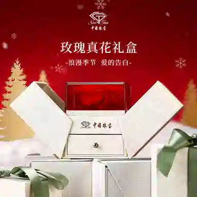 SINO GEM ins S925