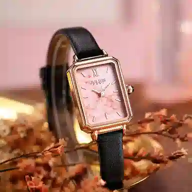 JULIUS JL ins JW1-255A