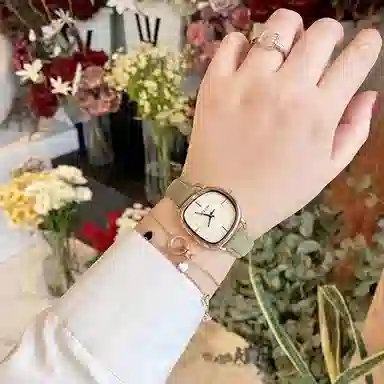 JULIUS JL 30 JW1-393B