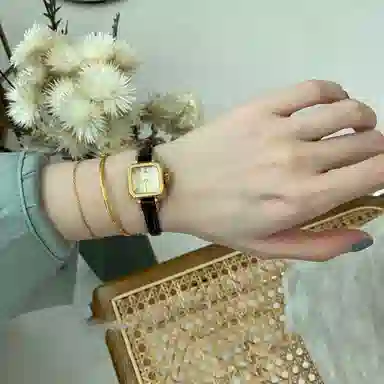 JULIUS JL JW4-96A