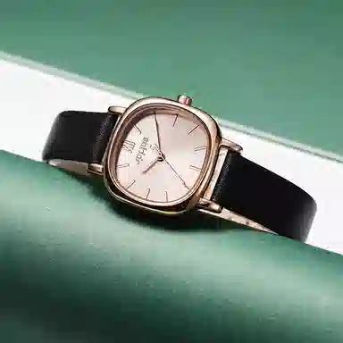 JULIUS JL ins JA-1296B