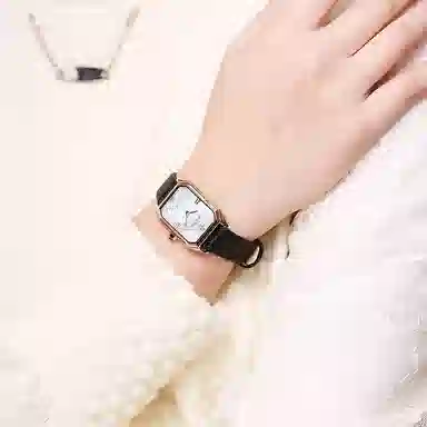 JULIUS JL JW1-275A