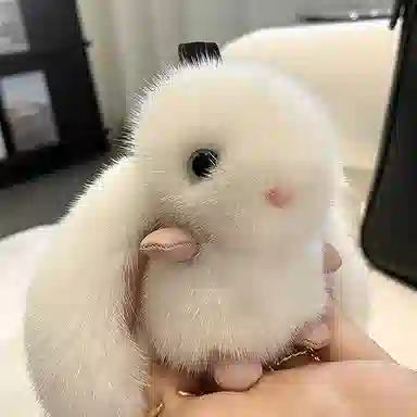 心水好物 可爱小兔子舒适手感汽车高级感书包 毛绒 挂件 男女同款情侣款