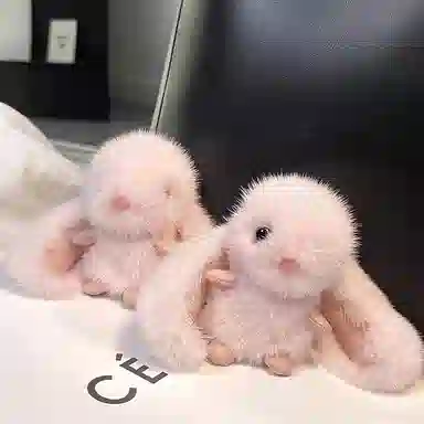 心水好物 可爱小兔子舒适手感汽车高级感书包 毛绒 挂件 男女同款情侣款