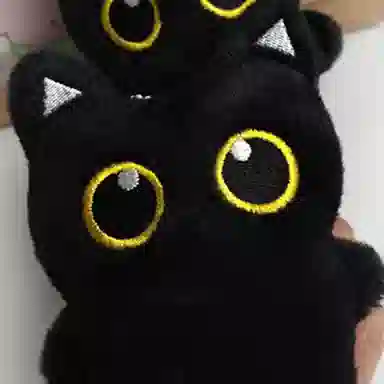 ins