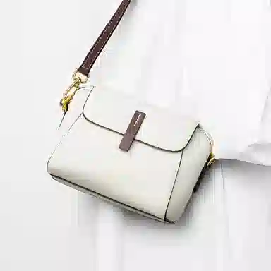 包包女实用通勤高级感小众时尚百搭简约个性潮流休闲轻便 牛皮 斜挎包 小号 女款 多色