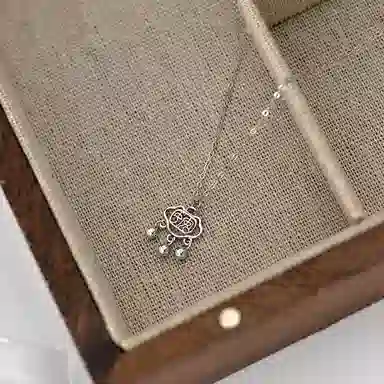 Modern Miracle ins S999