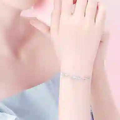 ins s925