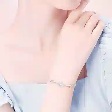 ins s925