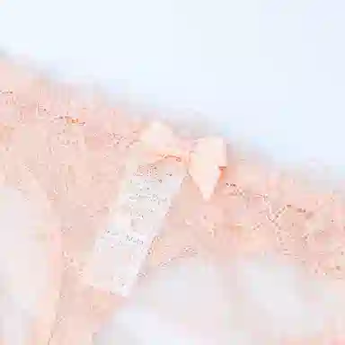 桔内 聚拢简约舒适文胸低腰三角内裤内衣裤套装 女款