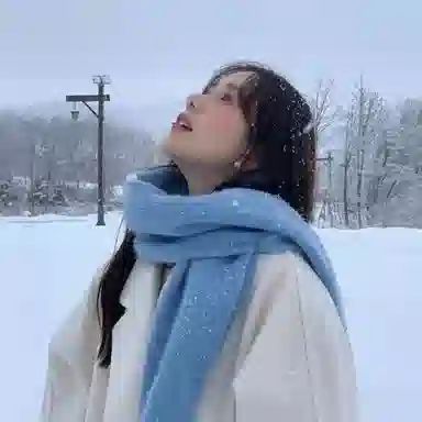 北极绒 秋冬季高级感款纯色超大加厚保暖 绒线围巾 男女同款情侣款