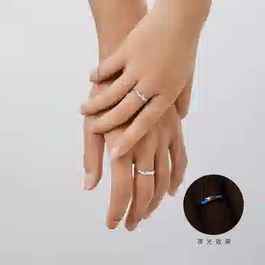 ins 925