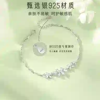 ins S925