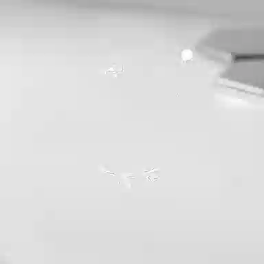 Cuz strange Intention ins