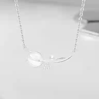 Cuz strange Intention S999