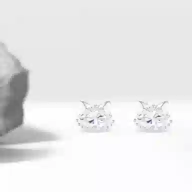 Cuz strange Intention ins S999