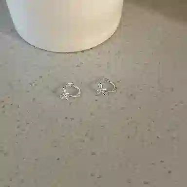 CARAT'SDIARYS925 520